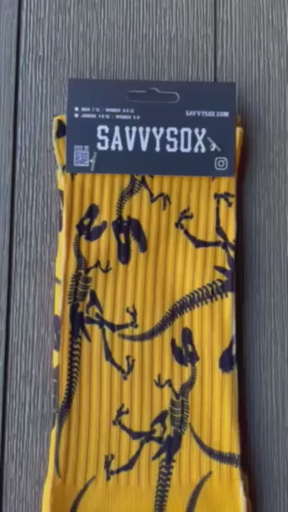 Dinosaur Crew Socks